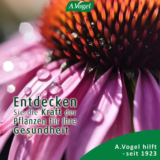 A.Vogel Echinaforce Forte Immune 30 Tabletten