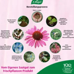 A.Vogel Echinaforce Forte Immune 30 Tabletten