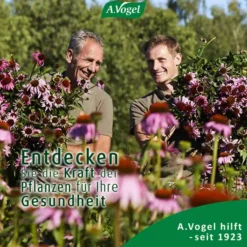 A.Vogel Salviaforce Mit Echinacea 20 Pastillen