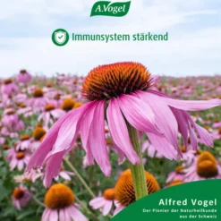 A.Vogel Salviaforce Mit Echinacea 20 Pastillen