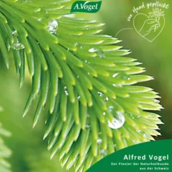 A.Vogel Santasapina ohne Alkohol Rottannen-Sirup 200 ml