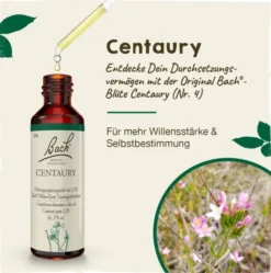 Bachblüten Centaury 20 ml Tropfen