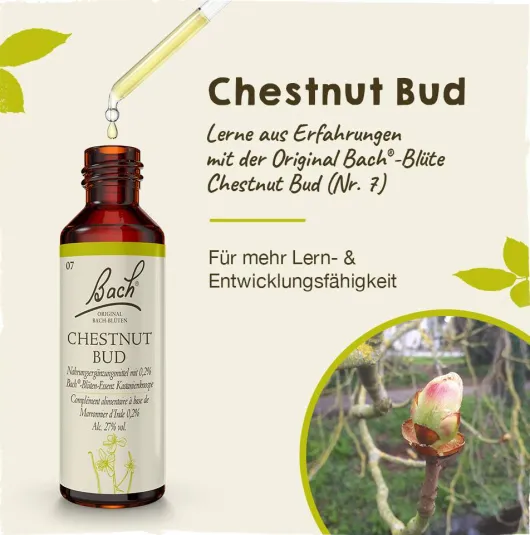 Bachblüten Chestnut Bud 20 ml Tropfen