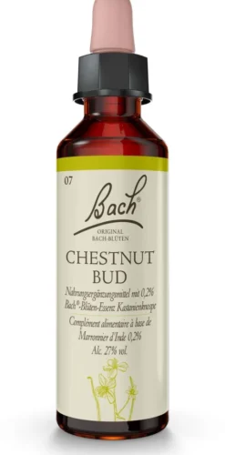 Bachblüten Chestnut Bud 20 ml Tropfen