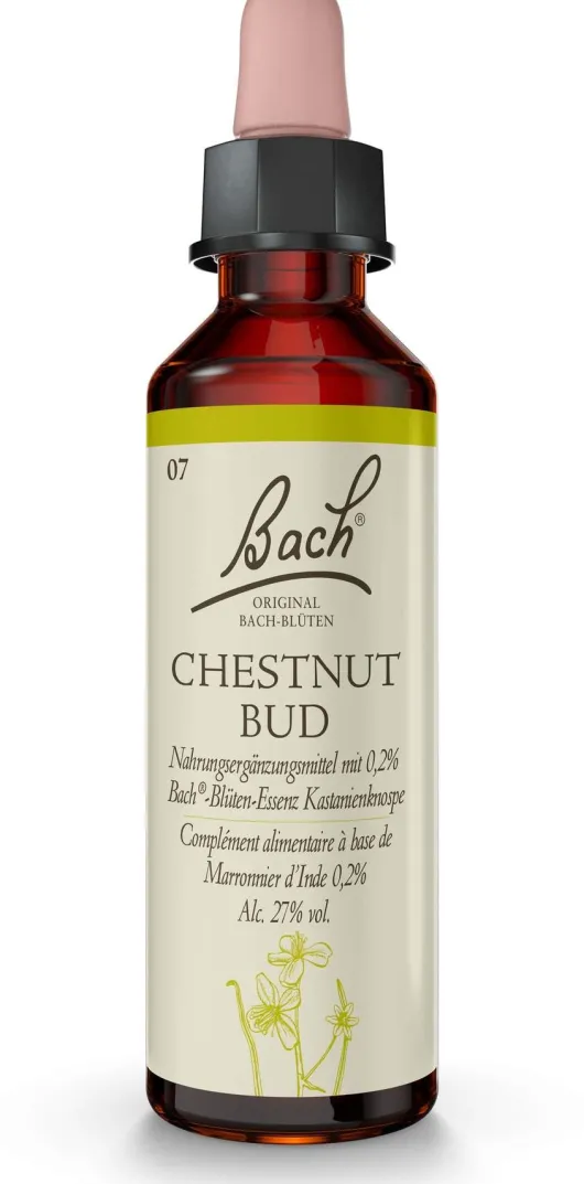 Bachblüten Chestnut Bud 20 ml Tropfen