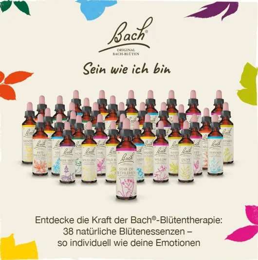 Bachblüten Chestnut Bud 20 ml Tropfen