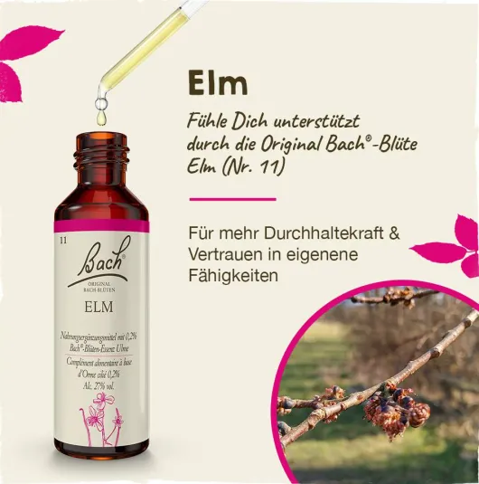 Bachblüten Elm 20 ml Tropfen
