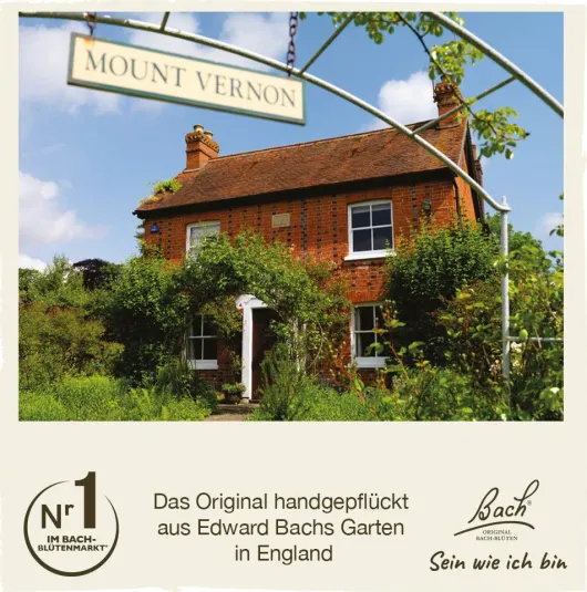 Bachblüten Elm 20 ml Tropfen