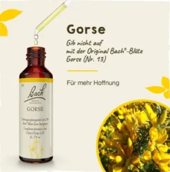 Bachblüten Gorse 20 ml Tropfen