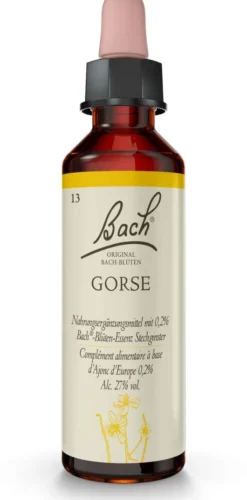 Bachblüten Gorse 20 ml Tropfen