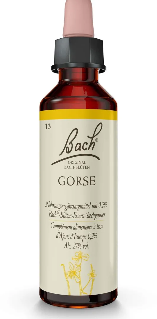 Bachblüten Gorse 20 ml Tropfen