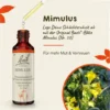 Bachblüten Mimulus