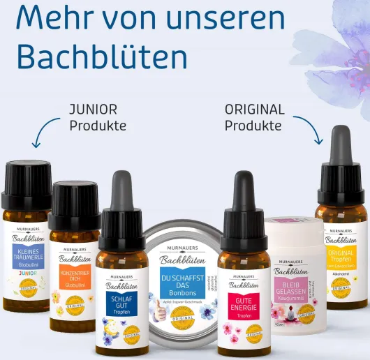 Bachblüten Murnauer 20 ml Tropfen Schlaf Gut
