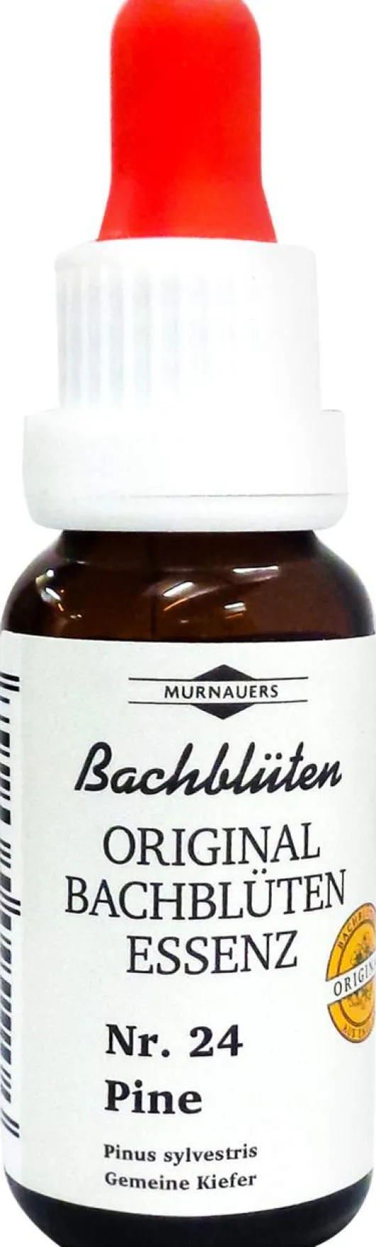 Bachblüten Murnauer Tropfen Pine