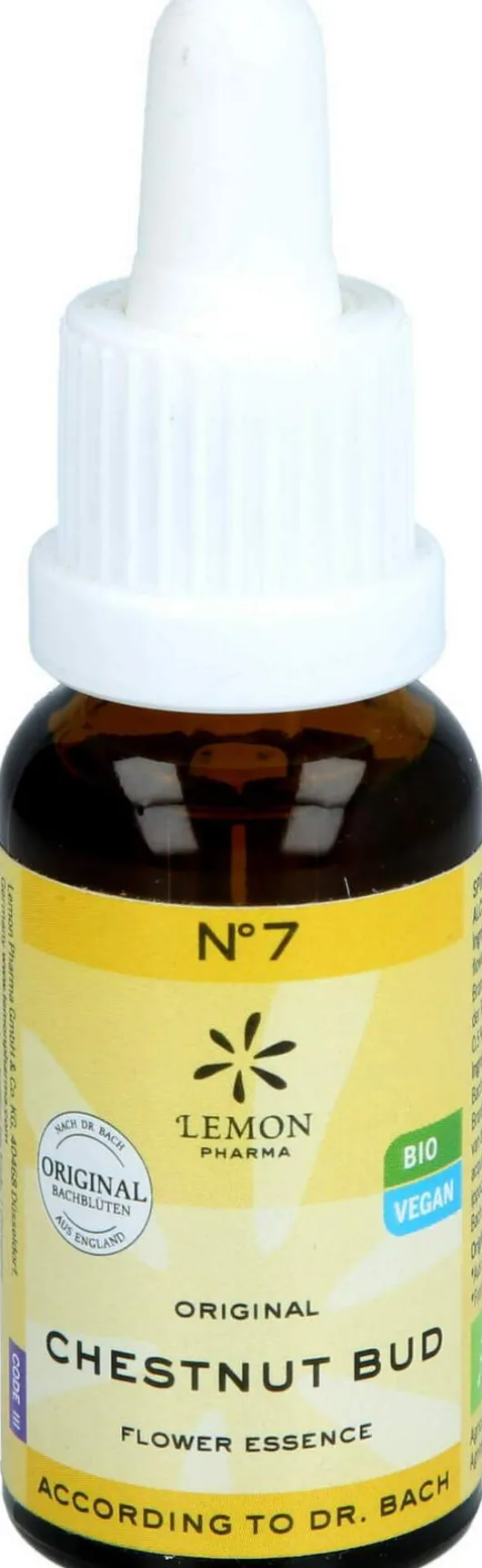 Bachblüten No.7 Chestnut Bud Bio 20 ml