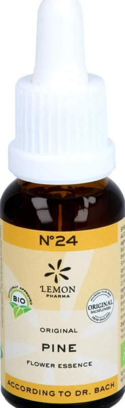 Bachblüten No.24 Pine Bio 20 ml