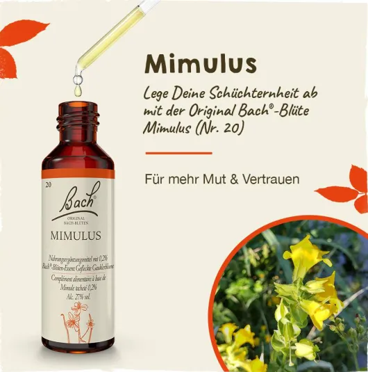 Bachblüten Olive 20ml Tropfen
