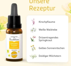 Bachblüten Original 20 ml Tropfen Ohne Alkohol Nach Dr. Bach
