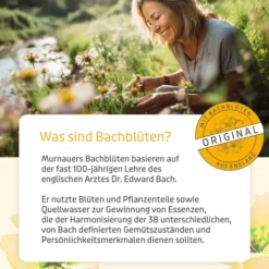 Bachblüten Original 20 ml Tropfen Ohne Alkohol Nach Dr. Bach