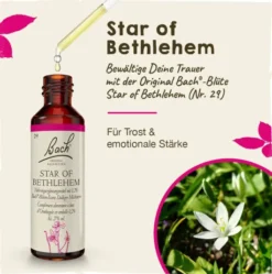 Bachblüten Star Of Bethlehem 20 ml Tropfen