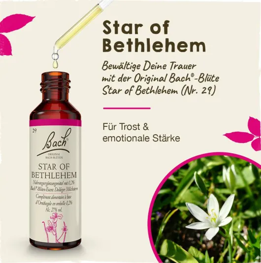 Bachblüten Star Of Bethlehem 20 ml Tropfen