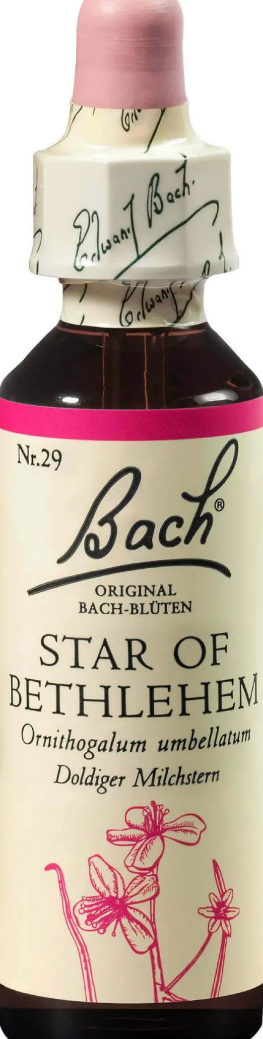 Bachblüten Star Of Bethlehem 20 ml Tropfen
