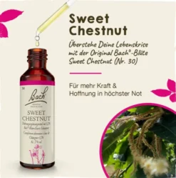 Bachblüten Sweet Chestnut 20 ml Tropfen
