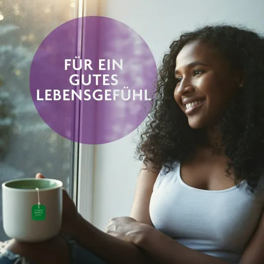 Bachblüten Tee Freude & Harmonie Bio 15 Filterbeutel