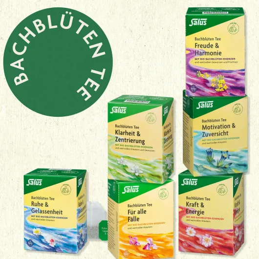 Bachblüten Tee Ruhe und Gelassenheit