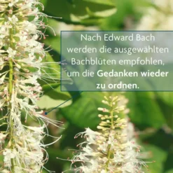 Bachblüten Tee Ruhe und Gelassenheit