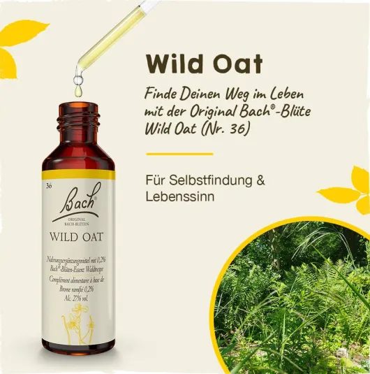 Bachblüten Wild Oat 20 ml Tropfen