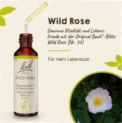 Bachblüten Wild Rose 20 ml Tropfen