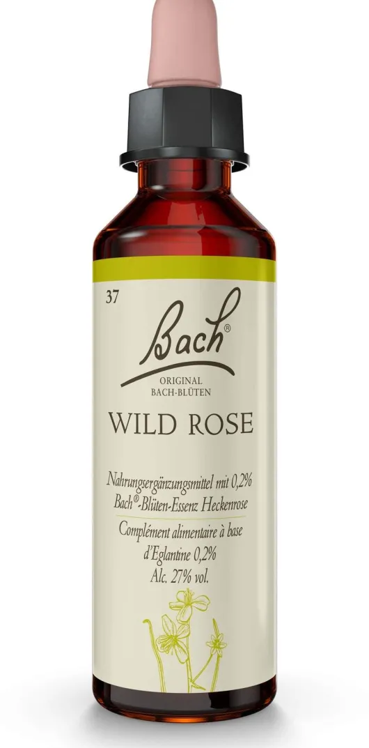 Bachblüten Wild Rose 20 ml Tropfen