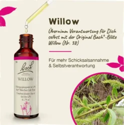 Bachblüten Willow 20 ml Tropfen
