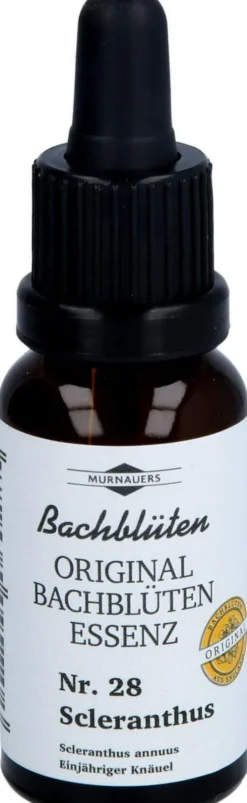 Bachblueten Murnauer Tropfen Scleranthus