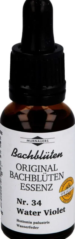 Bachblueten Murnauer Tropfen Water Violet