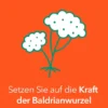 Baldrian-ratiopharm 30 Überzogene Tabletten