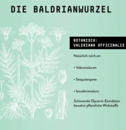 Baldrianwurzel Extrakt Kräuter Tropfen alkoholfrei 100 ml