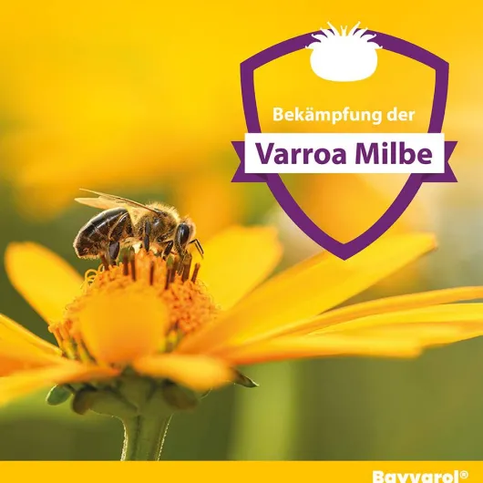 Bayvarol 3,6 mg Streifen für Honigbienen 5 x 4 Strips