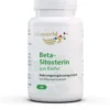 Beta Sitosterin 60 Kapseln
