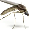 Beurer Insektenstichheiler BR60