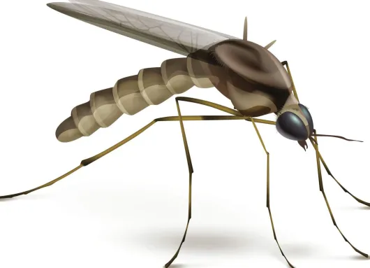 Beurer Insektenstichheiler BR60