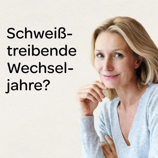 Böhm Traubensilberkerze 6,5 mg 60 Filmtabletten