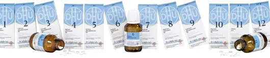 Biochemie DHU Set Basissalze 1-12 80 Tabletten 12 Artikel im Set