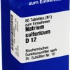 Biochemie Iso 10 Natrium Sulfuricum D12 80 Tabletten