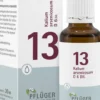 Biochemie Pflüger 13 Kalium Arsenicosum D6 30 ml Tropfen