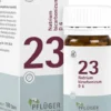 Biochemie Pflüger 23 Natrium Bicarbonicum D6 100 Tabletten
