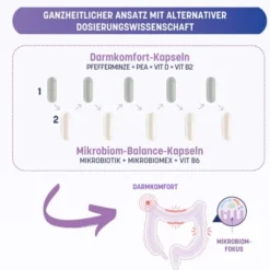 Biodami Darmbiomix Support 30 Kapseln