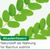 Bioticloges Subtilis 15 Kapseln