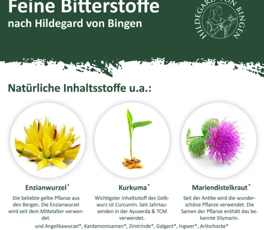 Bitterkraft Original Bitterstoffe Tropfen 20 ml
